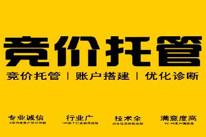 百度SEM广告投放效果评估的案例分析